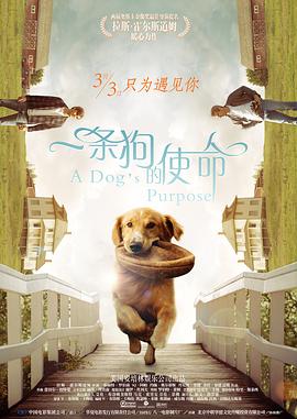 一条狗的使命(原声版)